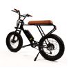 Mini Swell Electric Bike