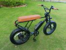 Mini Swell Electric Bike