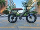 Mini Swell Electric Bike