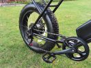 Mini Swell Electric Bike